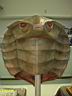 prop_party_04_037.jpg