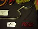 prop_party_04_112.jpg