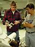 prop_party_04_212.jpg